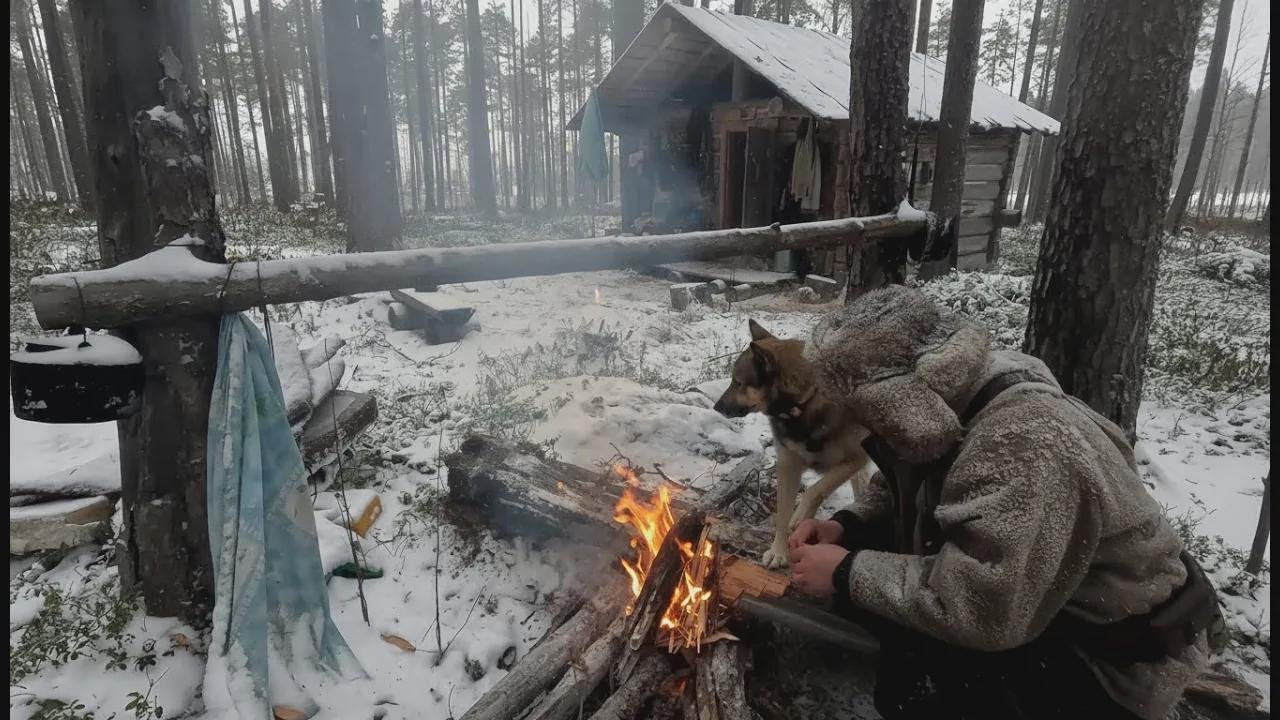 Llegamos a la cabaña del bosque: viviendo con mi perro lejos de todos y atrapando un trofeo