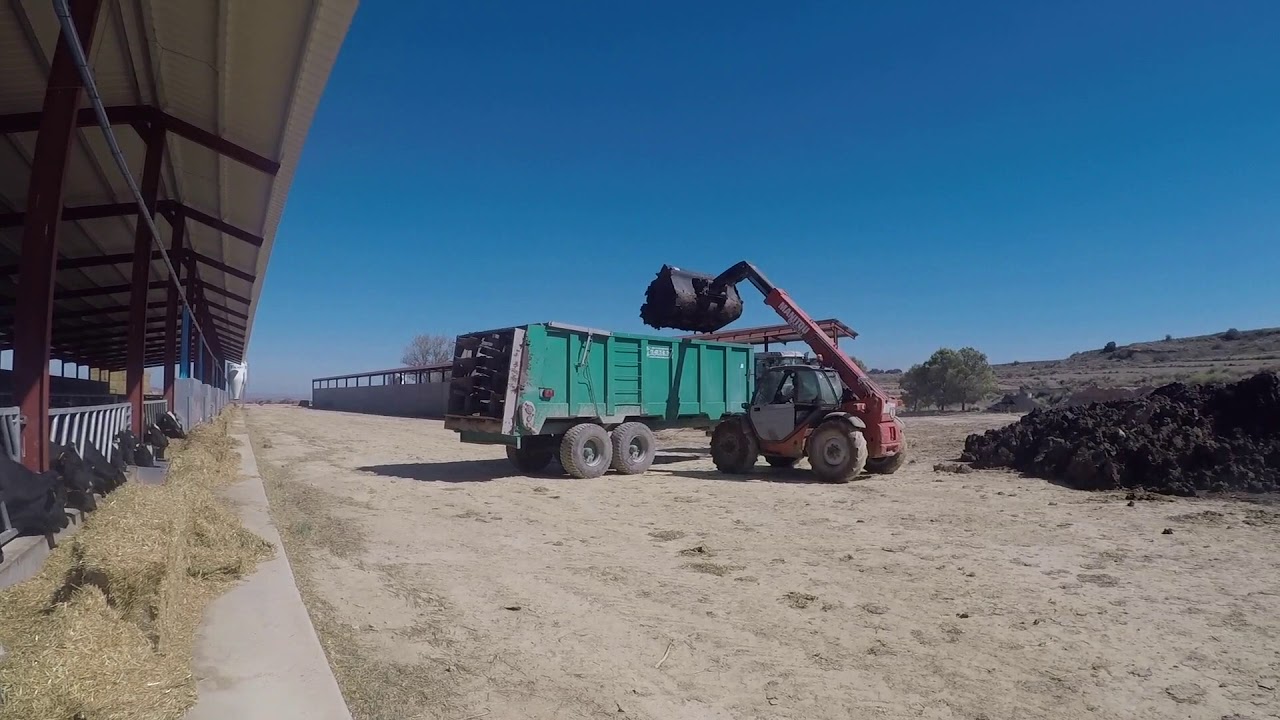 🐮Visito una granja de terneros y enseñando remolque esparcidor de estiércol
