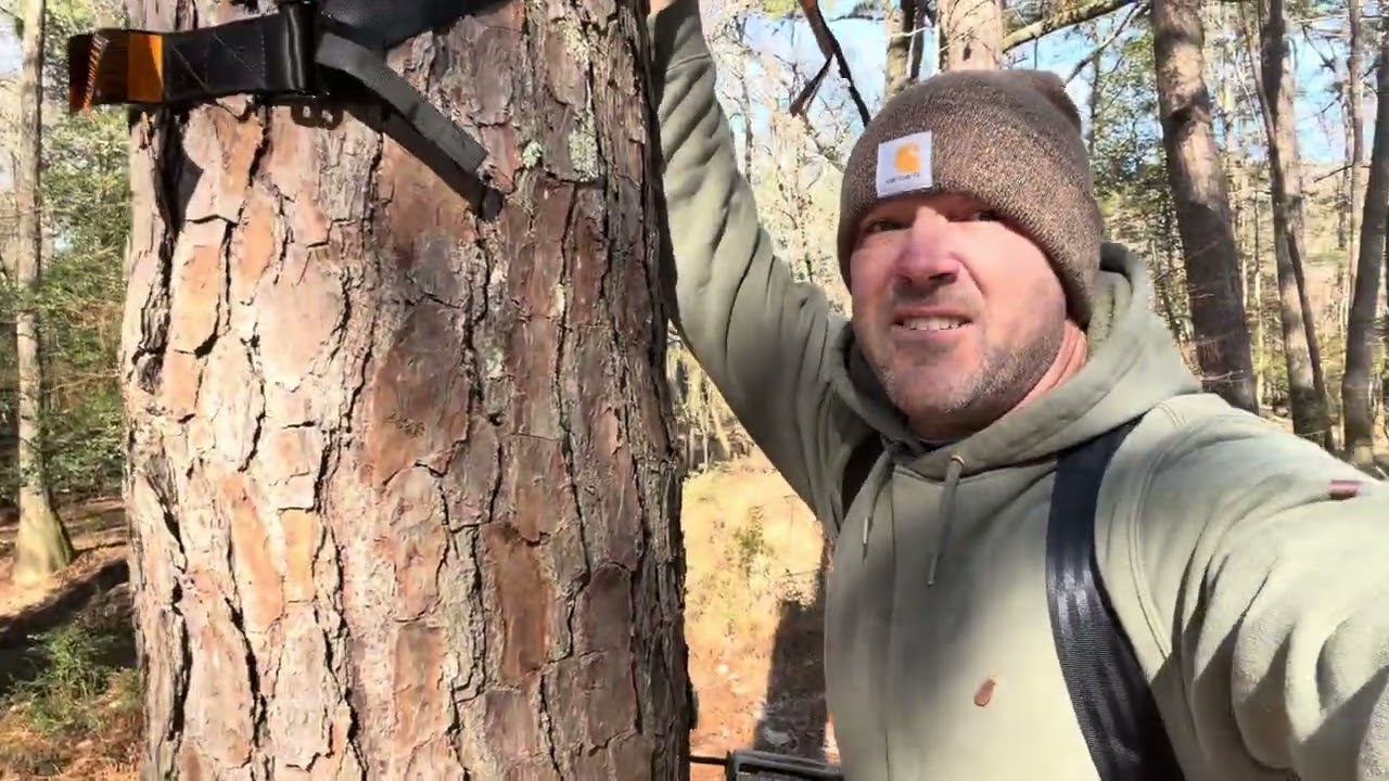 Summit Goliath SD climbing treestand
