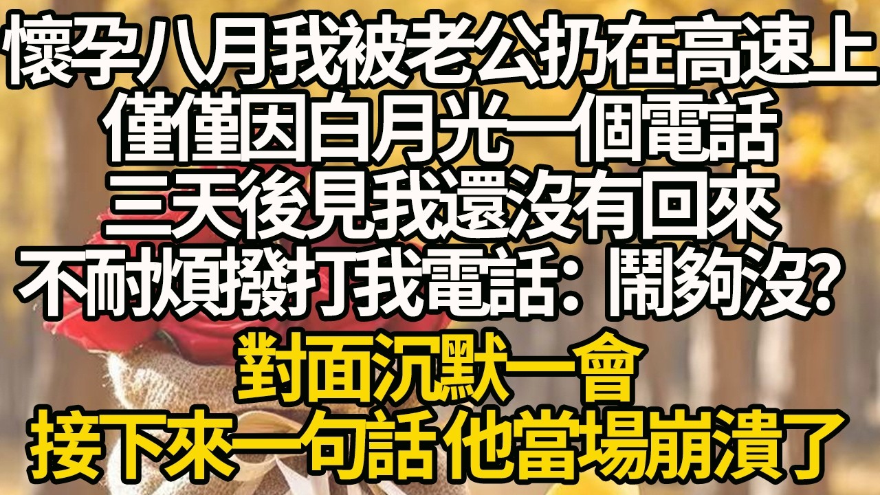 懷孕八月我被老公扔在高速上，僅僅因白月光一個電話，三天後見我還沒有回來，不耐煩撥打我電話：鬧夠沒？對面沉默一會，接下來一句話 他當場崩潰了#有聲書