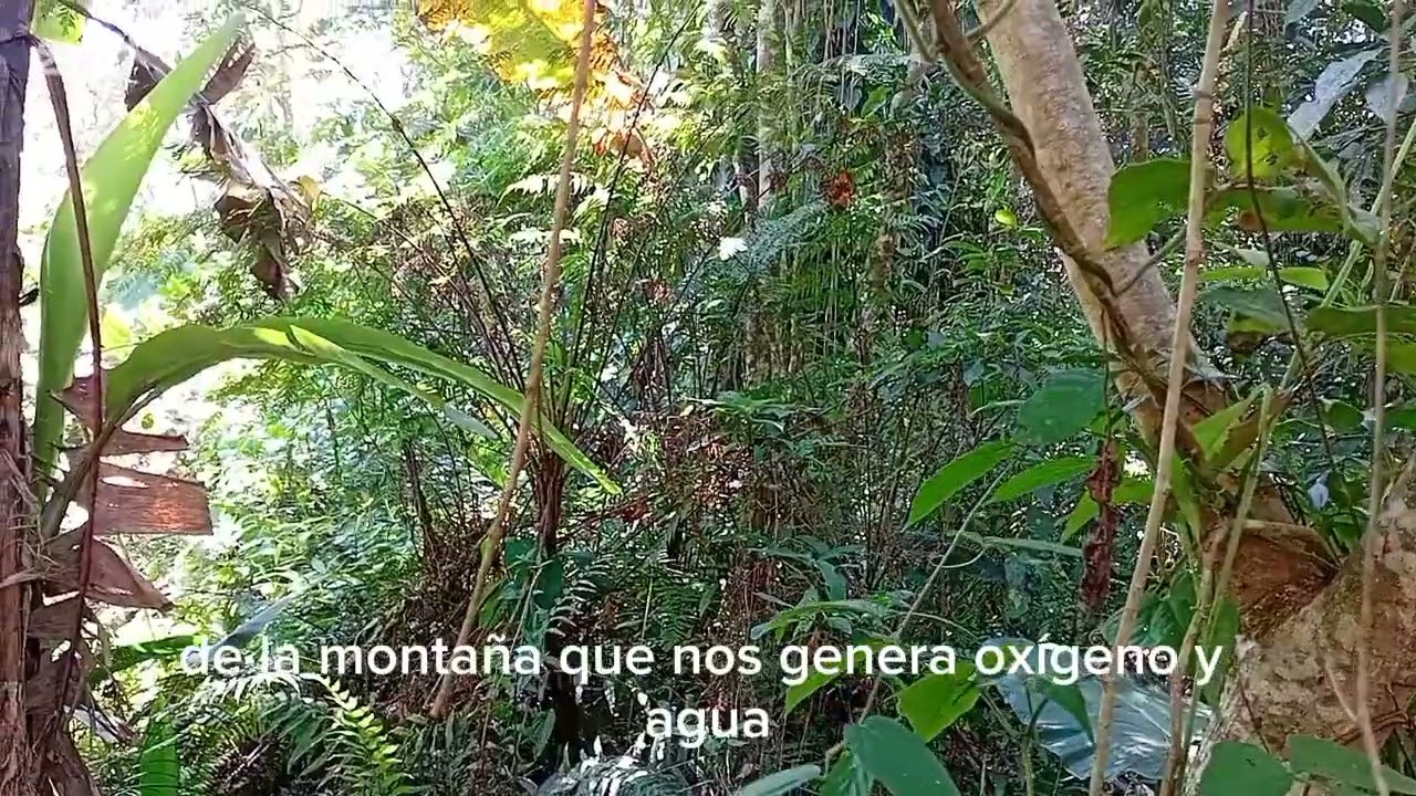 Naturaleza al desnudo,descubrela.