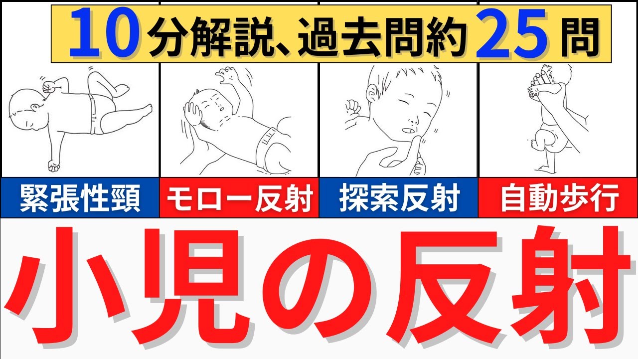 【解説時間10分】小児の反射について解説