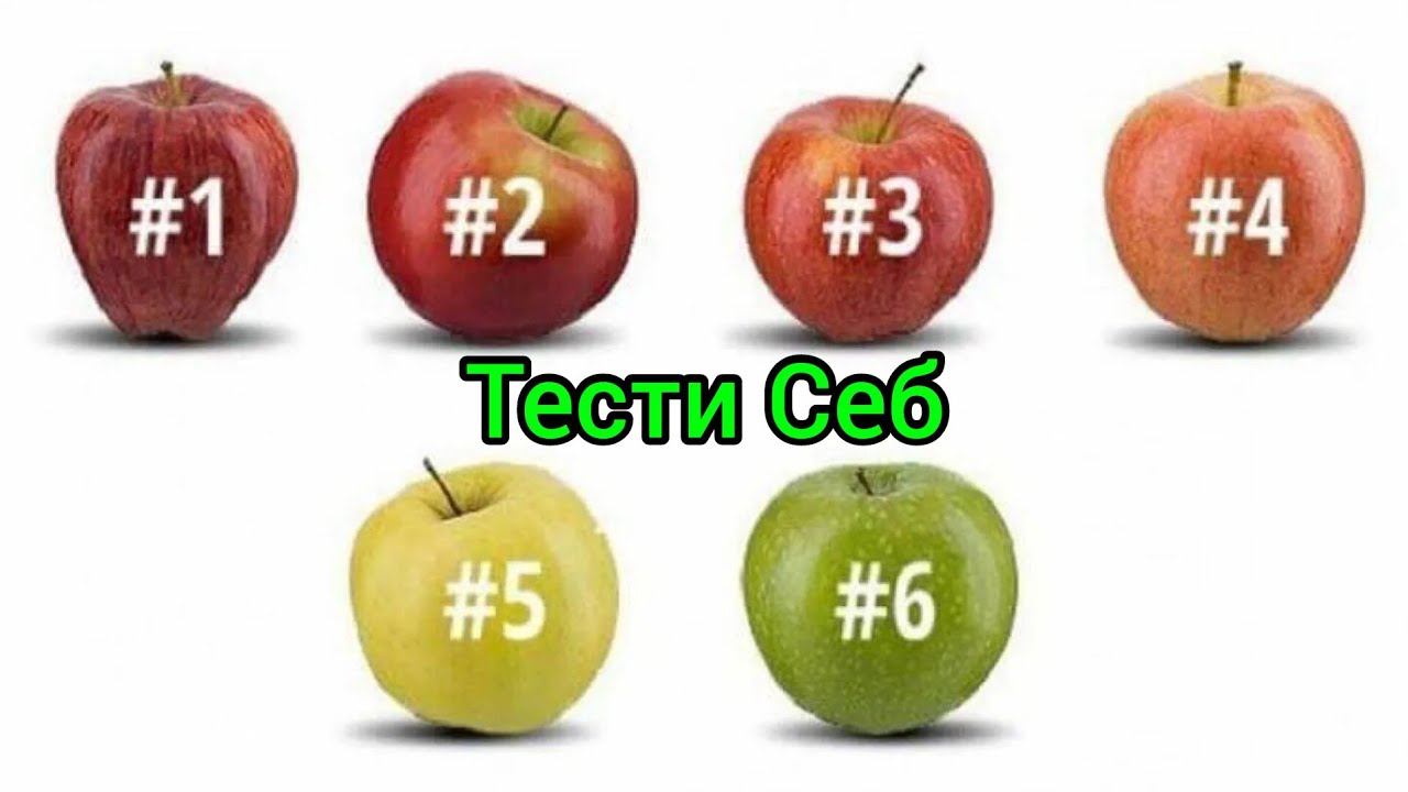 Тести психологии Себ