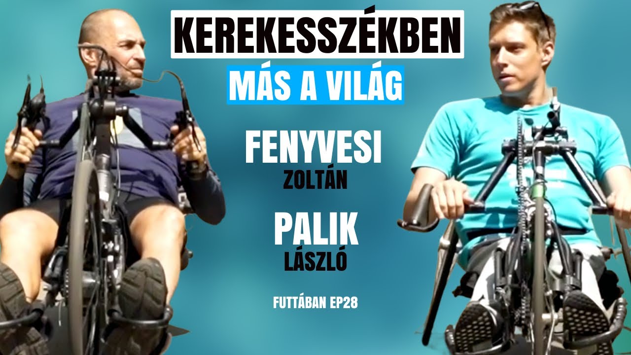 PALIK KEREKESSZÉKBEN FENYVESI ZOLTÁNNAL - MÁS A VILÁG / Futtában / Palikék Világa by Manna