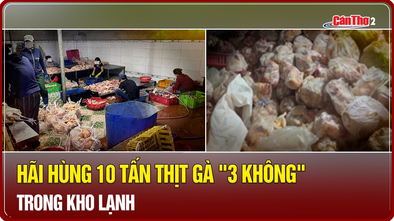 Hãi hùng 10 tấn thịt gà 