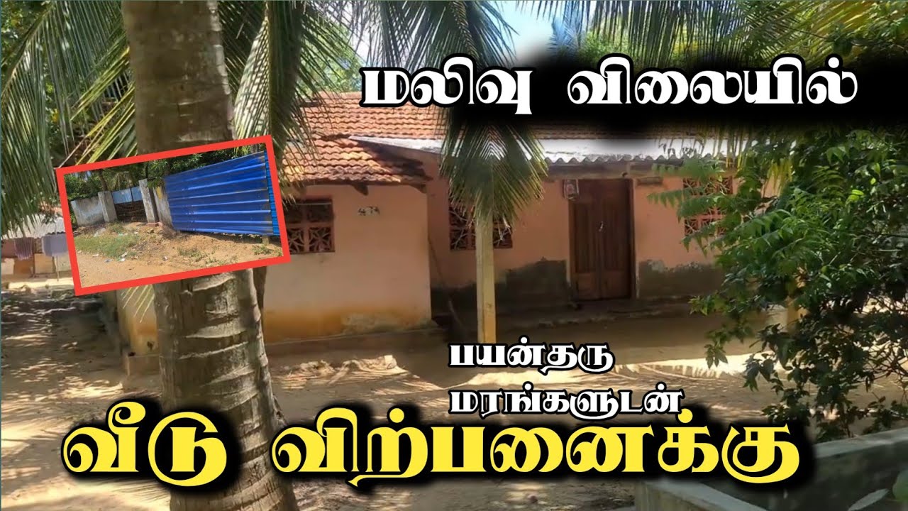 அழகிய சூழலில் அமைந்த வீடு விற்பனைக்கு | house 🏠 for sale jaffna srilanka