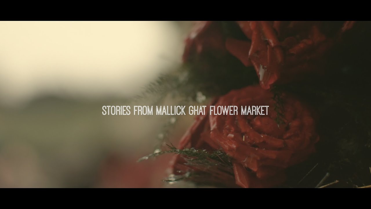 Stories from Mallick ghat | Asia's largest flower market in Kolkata | 2020 | Cinematic video