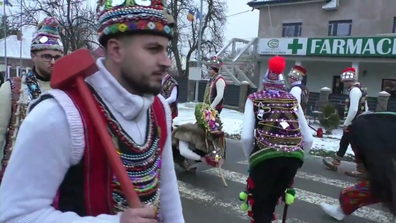 CERBUL DE LA LUPĂRIA, TĂTĂRUȘI 27 DECEMBRIE 2024