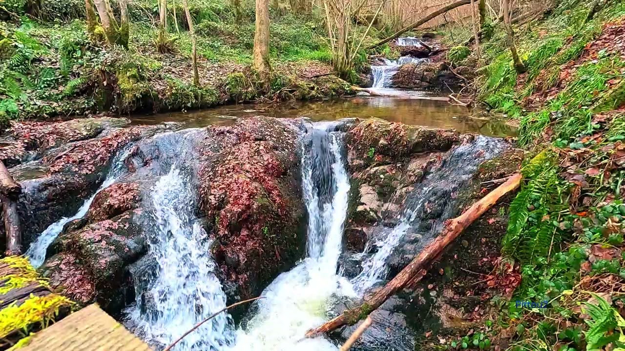 Eau suite de cascade - Relaxation - Détente - 