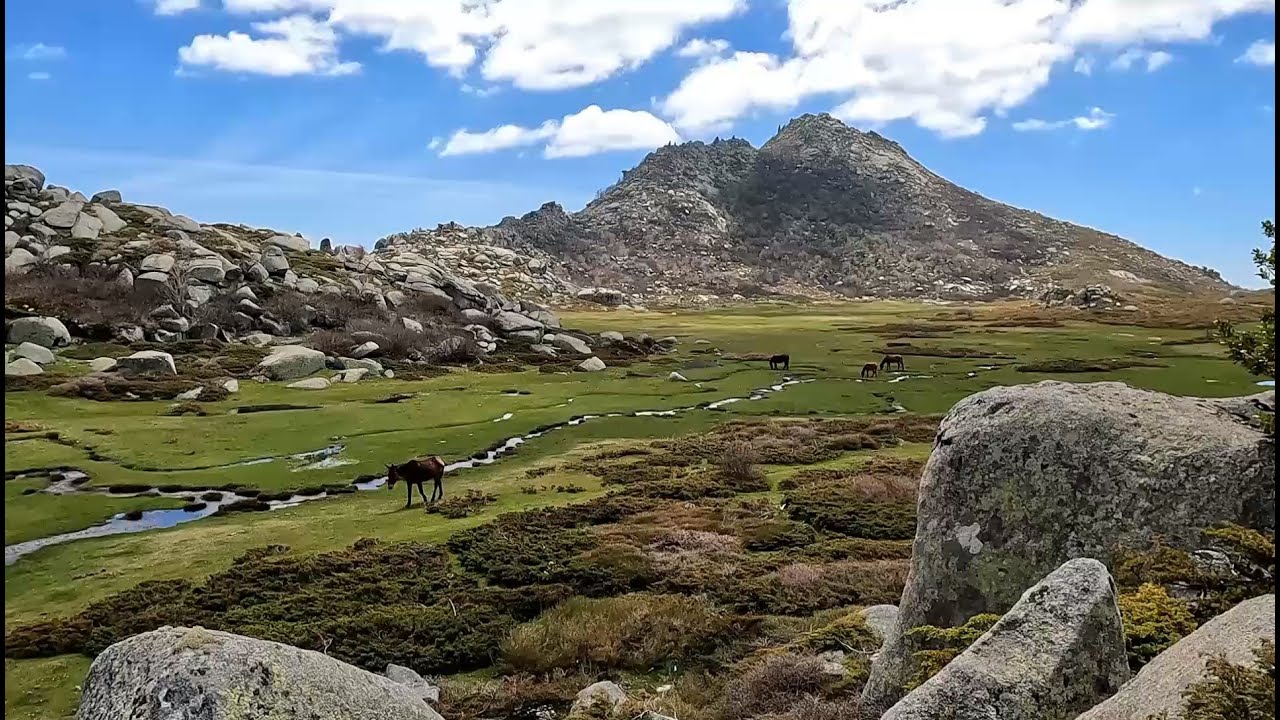 Corse les pozzines  U Cusciunu