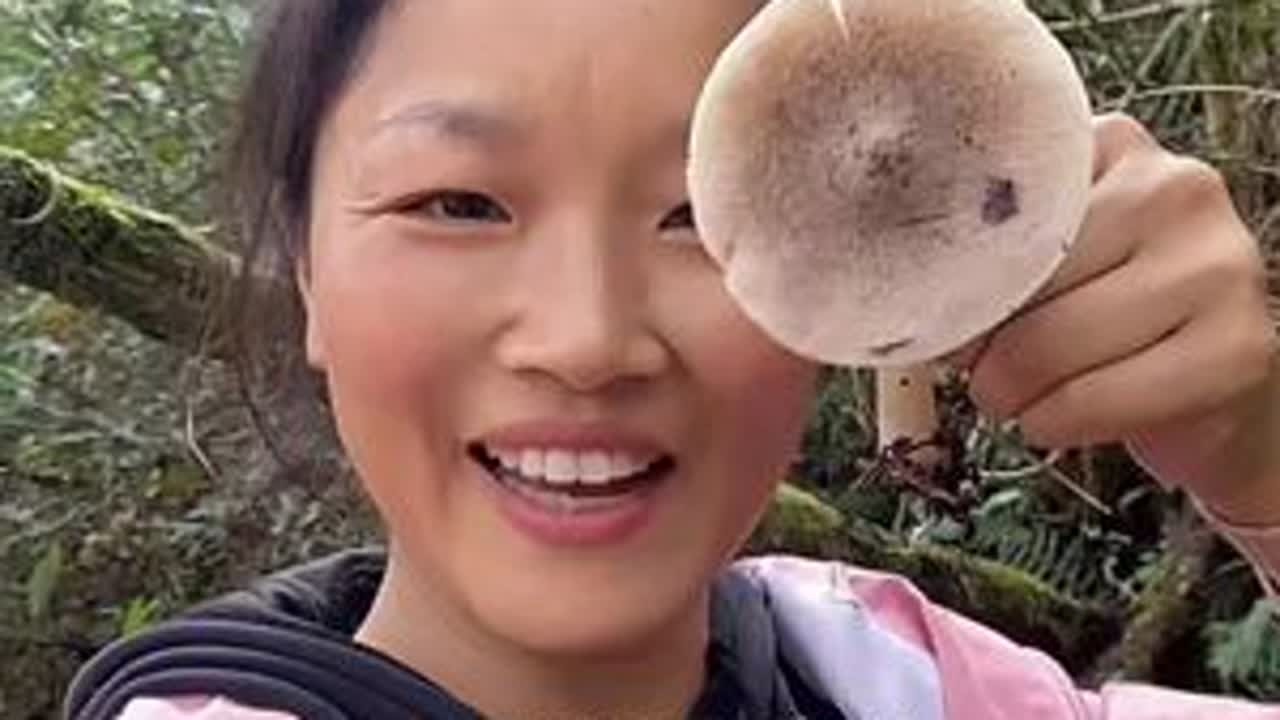 这个菌子捡得太不容易了！#捡菌子的乐趣 #捡菌子的快乐 #茅草菌
