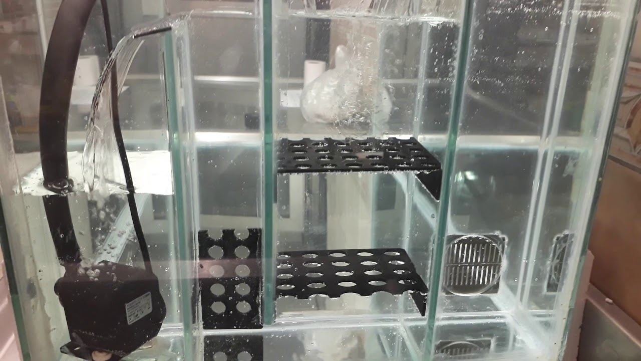 Yandan Sump &ccedil;alışması