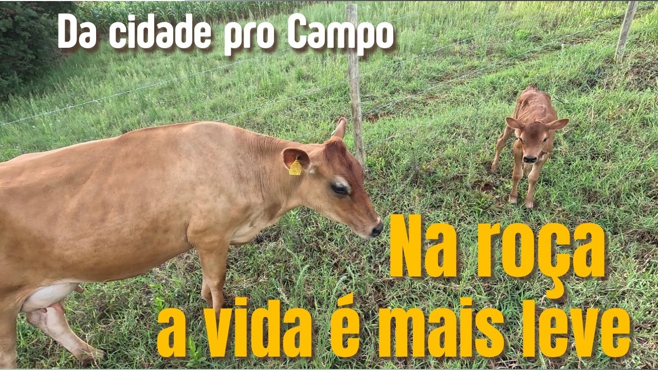 BEM VINDOS A ROTINA DA VIDA NA ROÇA