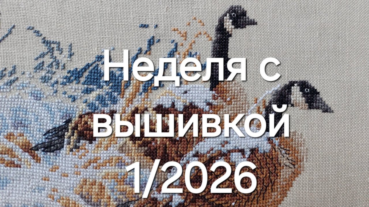 Вышивка.  Продвижения за неделю. 1/2026. Январь.