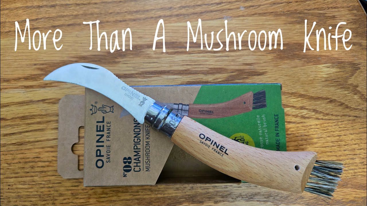 The Opinel Mushroom Knife  A Knife that is good for more than just hunting mushrooms!