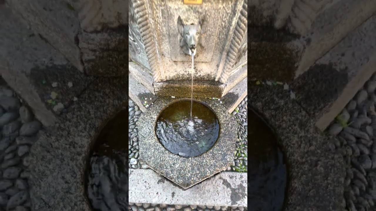 Vigevano, Italy 🇮🇹 | Exploring the Hidden Gem of Lombardy  #travel #piazza #fountain