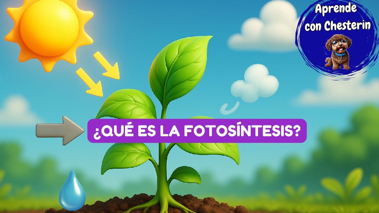 ¿Cómo se alimentan las plantas? 🌱 Descubrilo con Chesterin