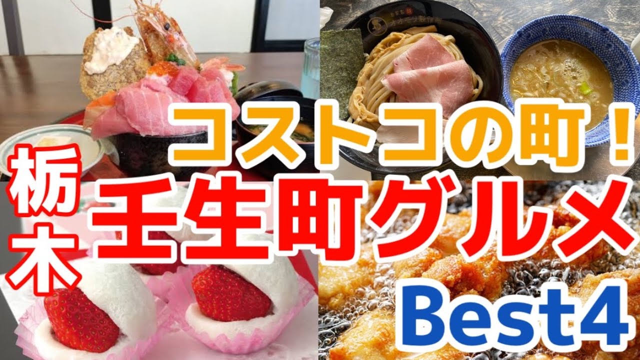 【栃木グルメ】コストコの町！壬生町で美味しいグルメ4選を大公開　栃木県　下都賀郡壬生
