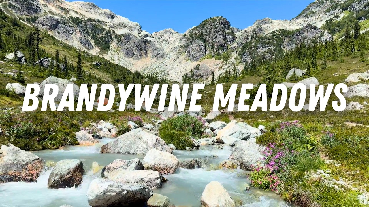 STUNNING Brandywine Meadows - Is this the best value hike in Whistler?