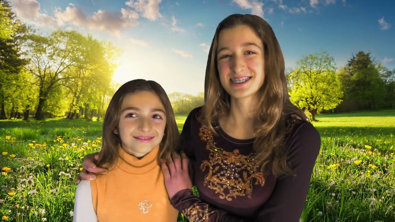 The Sonical Bees  - Story of a Bee - Official Music Video