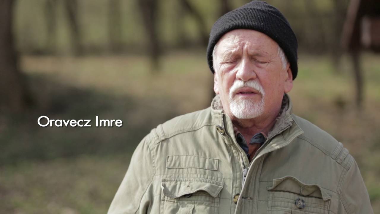 A magyar falu po&eacute;tik&aacute;i