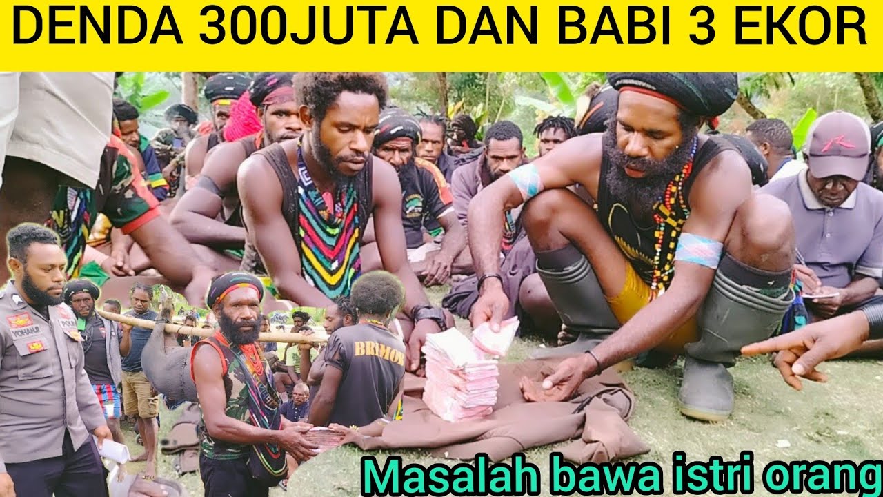 BAWA ISTRI ORANG KENA DENDA ADAT 300JUTA DAN B4BI 3 EKOR