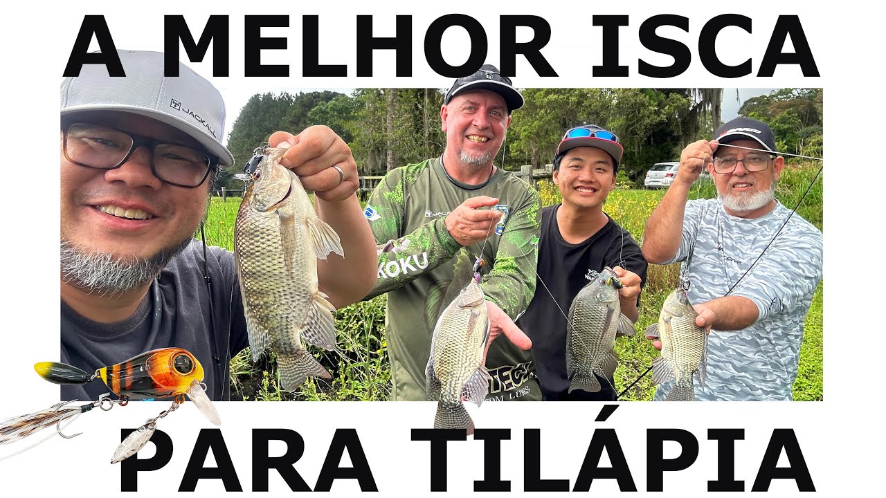 COM A MICRO TAPPY FICA F&Aacute;CIL FISGAR A TIL&Aacute;PIA