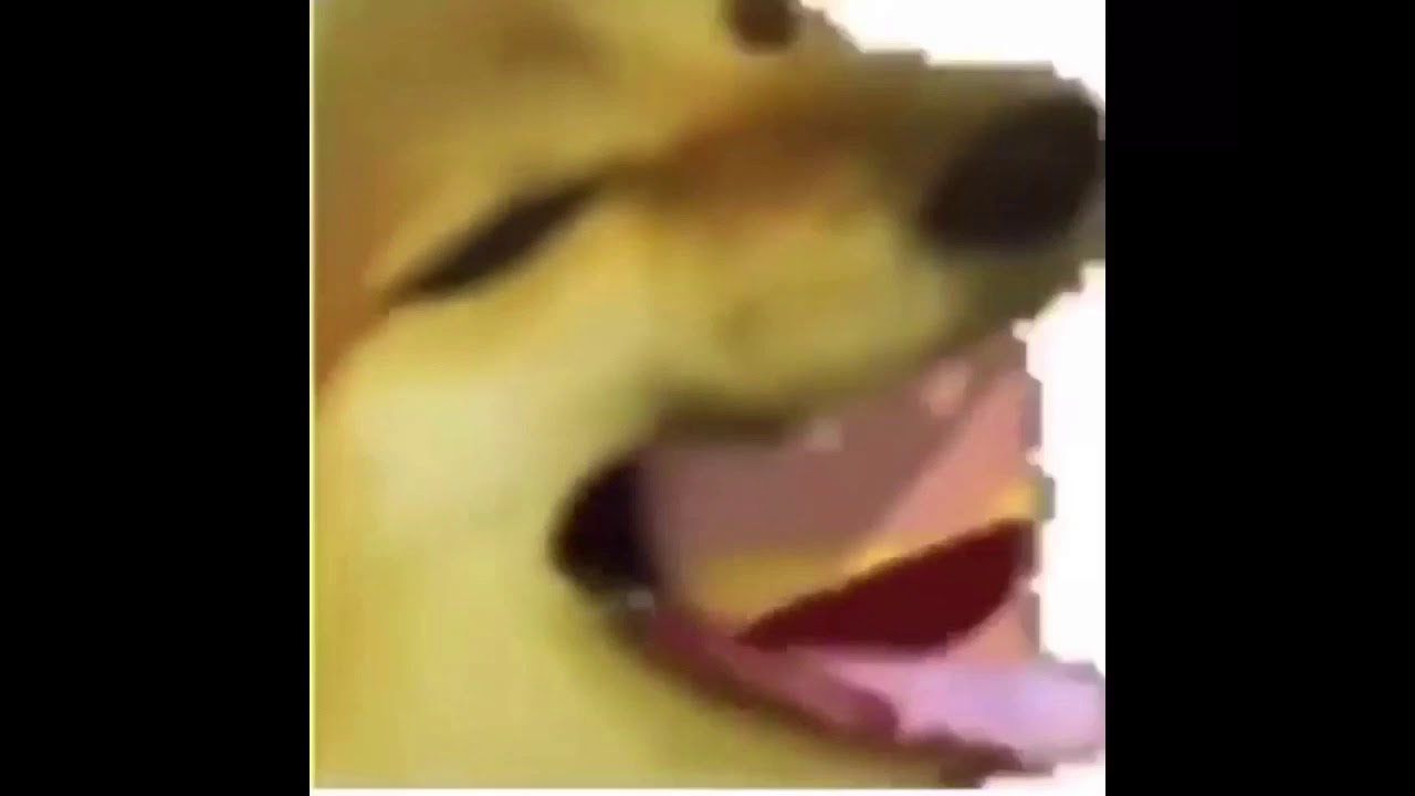 Cheemsburger