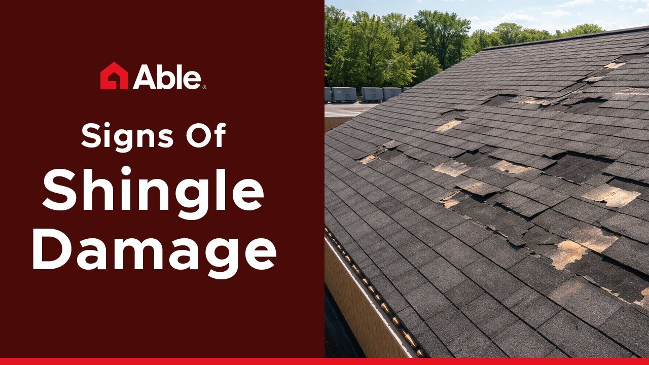Is Your Roof Damaged? Signs of Shingle Damage Every Homeowner Should Know