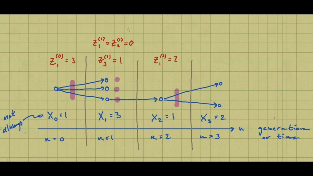 Markov Chains Lecture 10: branching processes, Galton-Watson processes