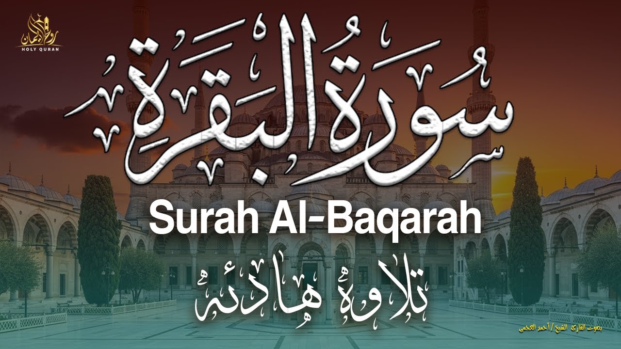 سورة البقرة كامله رقية التحصين والشفاء من السحروالعين والحسد بإذن الله بصوت القارئ الشيخ/ أحمدالعجمى
