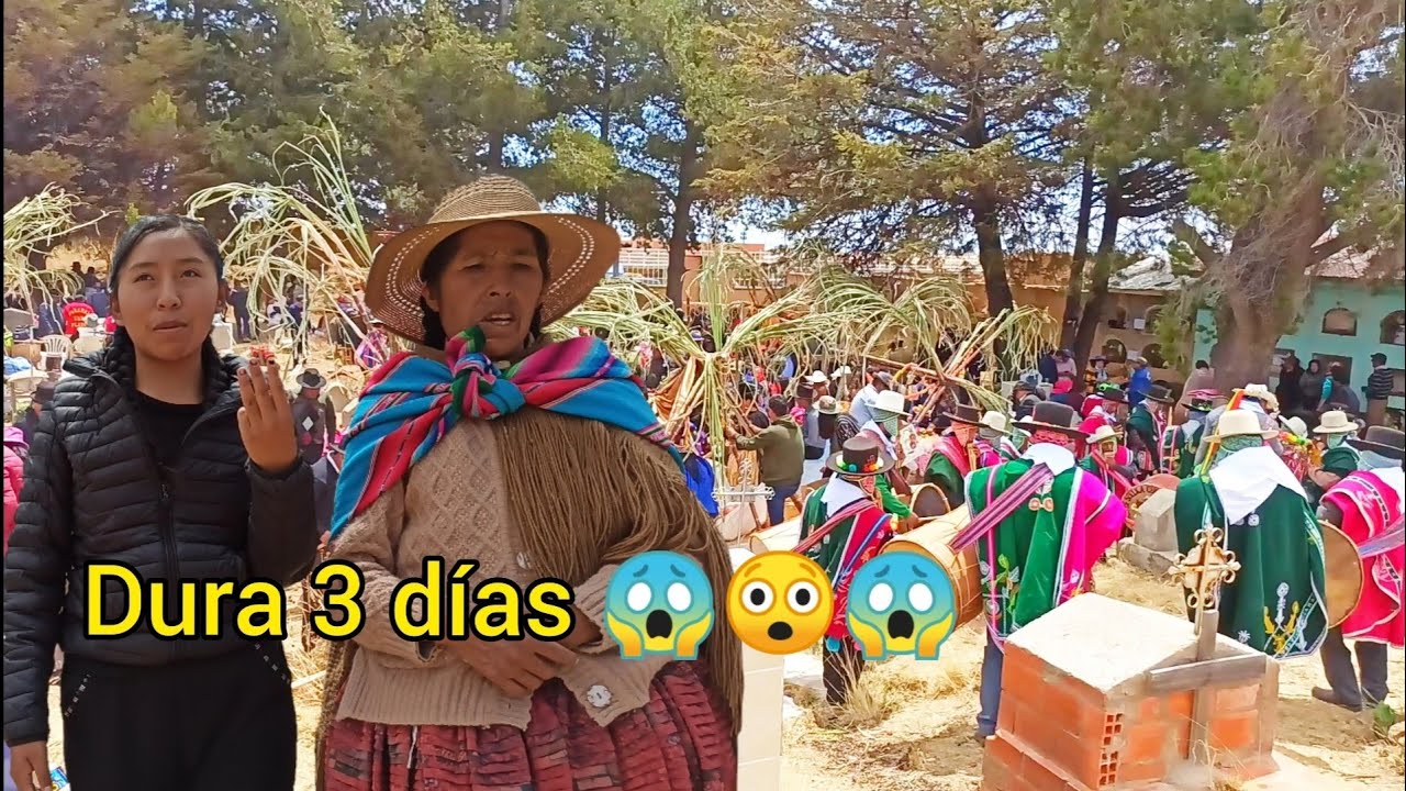 DIA DE 