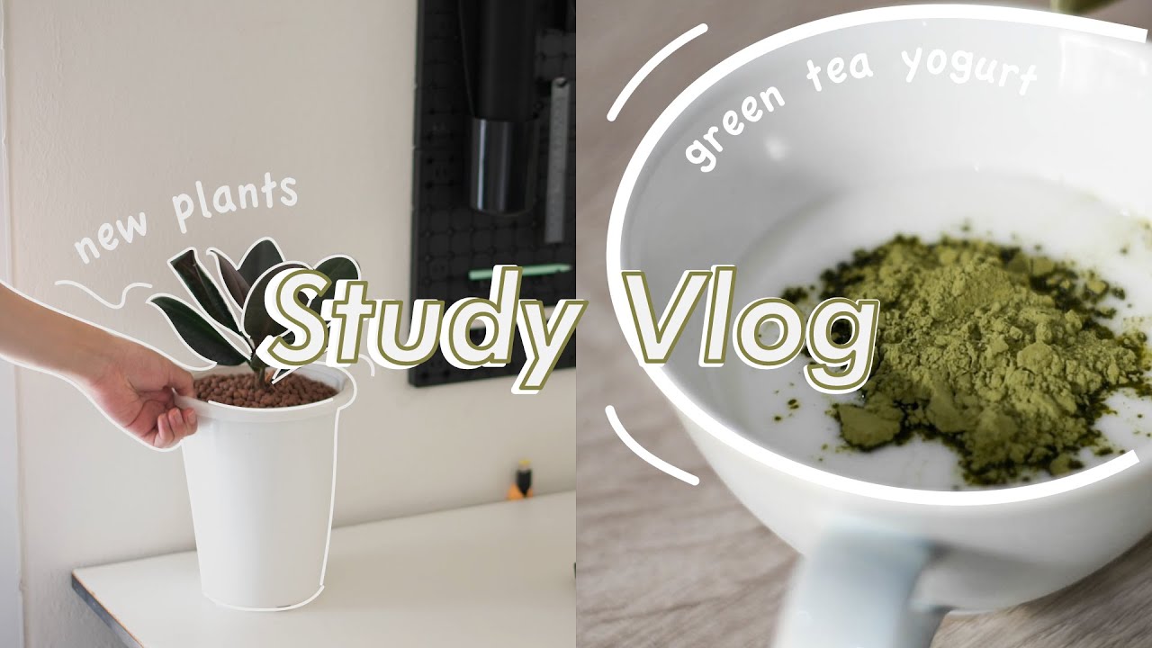 calm study vlog | decorating my desk, new plants, studying for the SAT