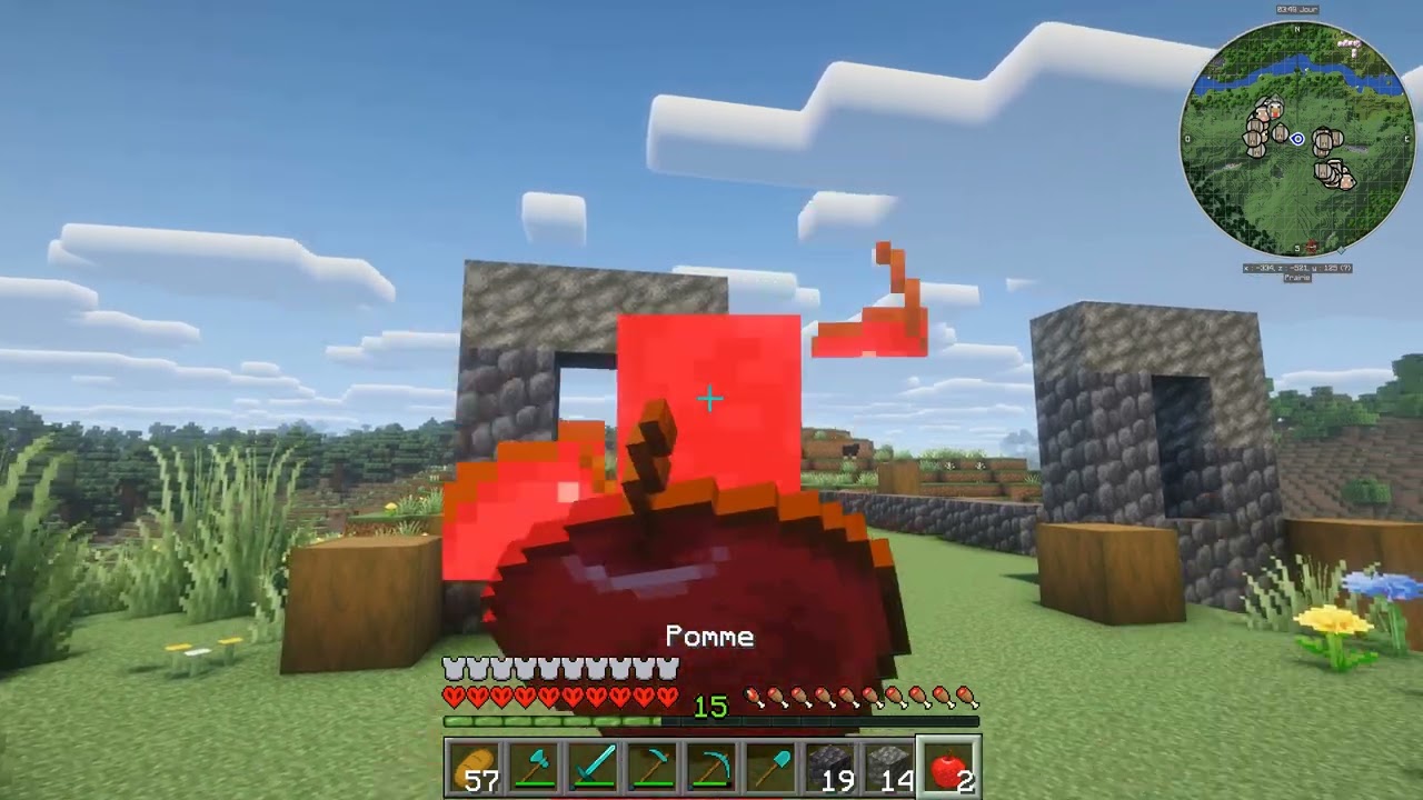 j'ai la survie minecraft parfaite