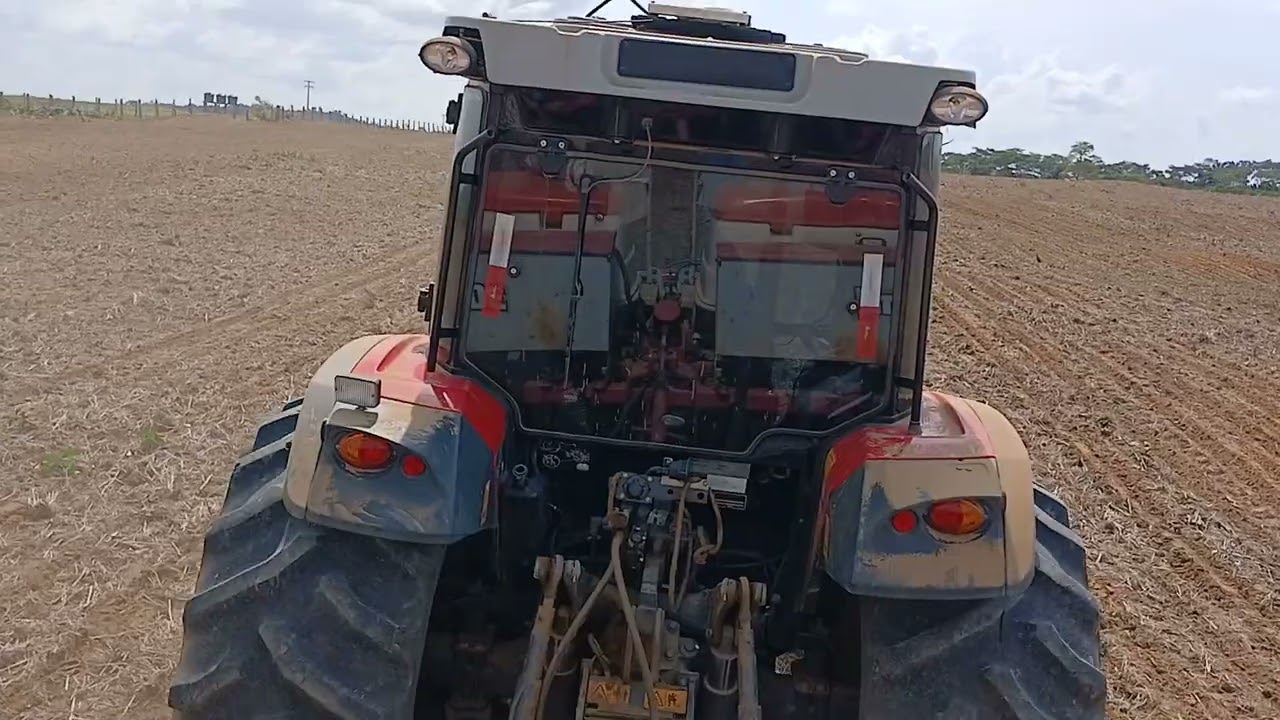Plantação de milho 🌽 🌽 