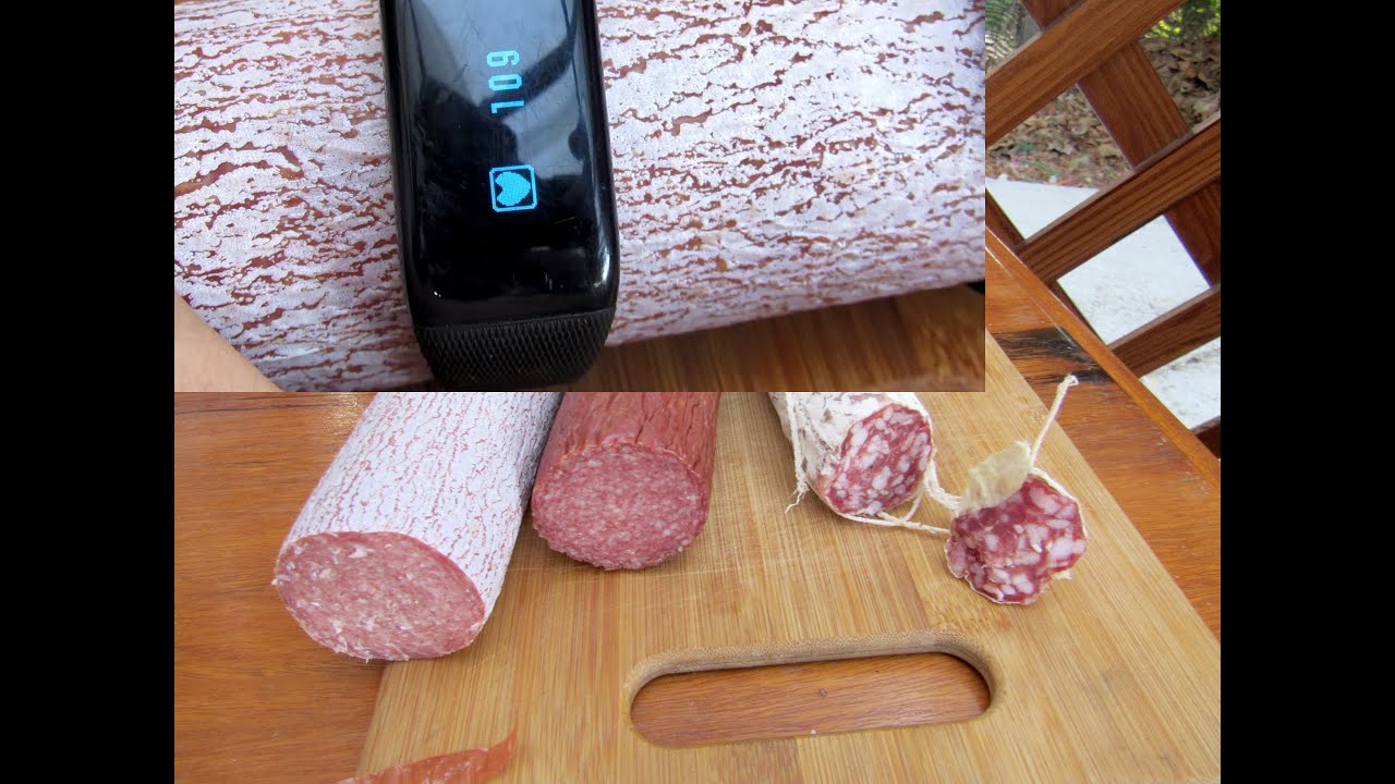 Putting Health Monitor SAS88 from Lidl to the Test Examining Salami Heart Rate with Activity Tracker