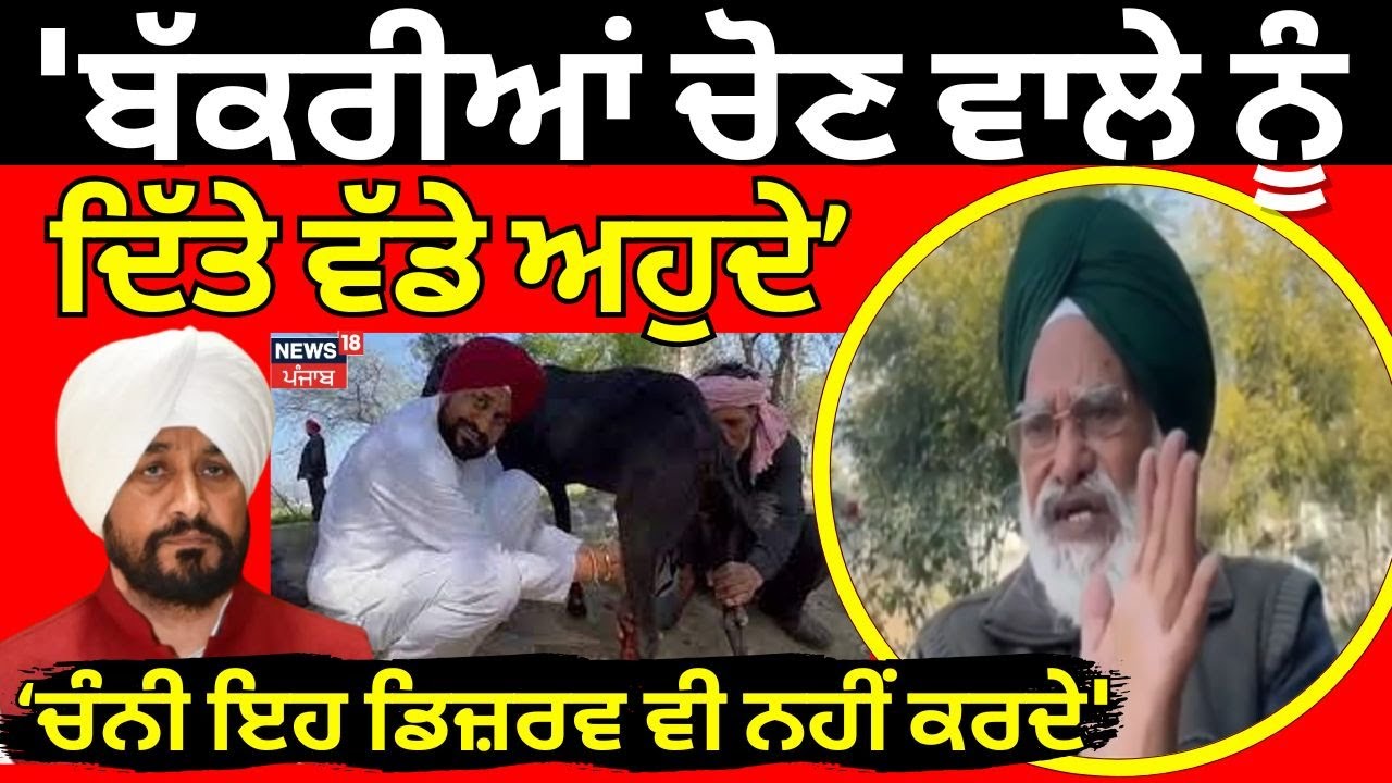 Shamsher Singh Dullo on Channi: 'ਬੱਕਰੀਆਂ ਚੋਣ ਵਾਲੇ ਨੂੰ ਦਿੱਤੇ ਵੱਡੇ ਅਹੁਦੇ, ਚੰਨੀ ਇਹ ਡਿਜ਼ਰਵ ਵੀ ਨਹੀਂ ਕਰਦੇ'