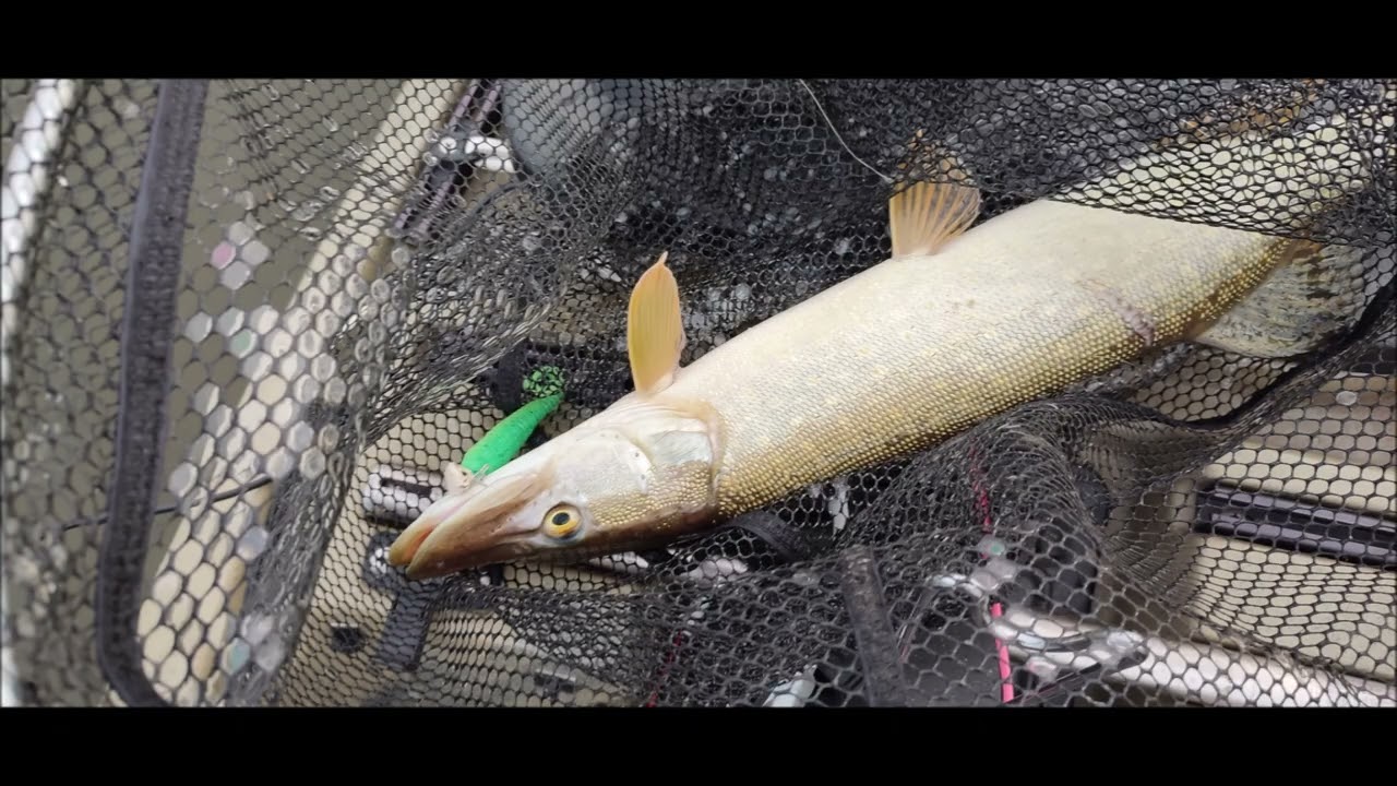 Pêche du brochet en kayak à pédales