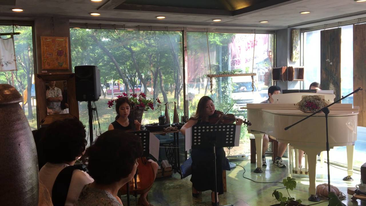 Tchaikovsky Waltz from Sleeping Beauty  (piano trio ver.)