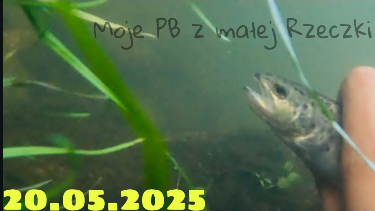 MOJE PB Z MAŁEJ RZECZKI (2025)