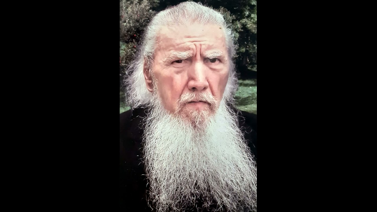 Pr. Visarion Iugulescu - Lupii în piei de oaie