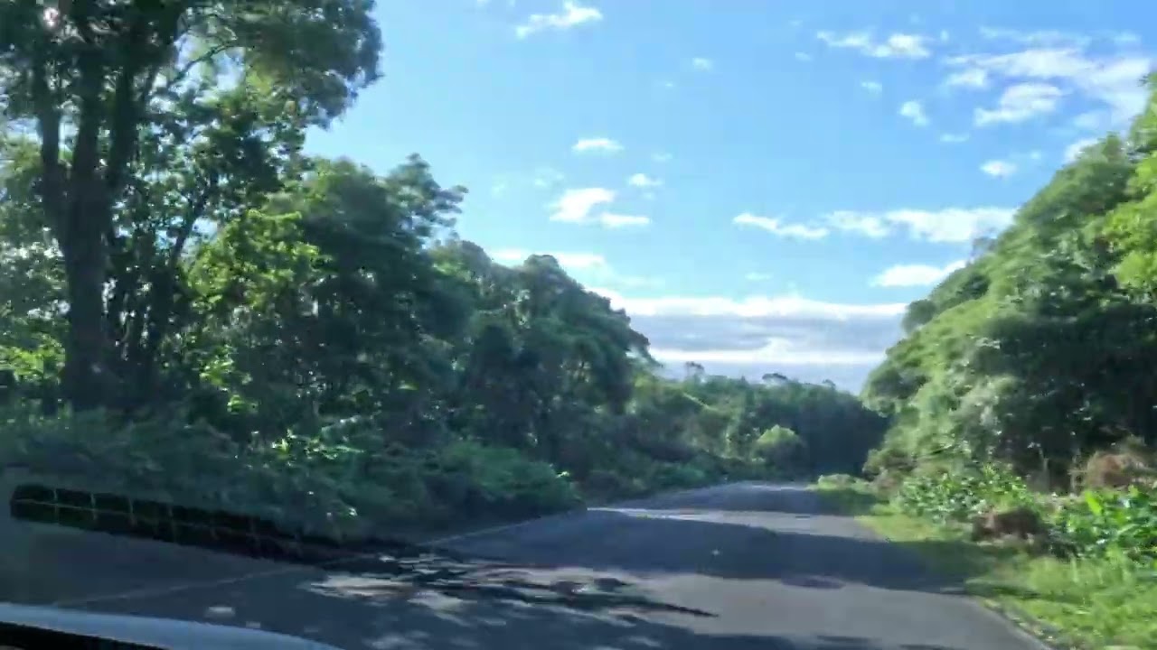 Passeio pelos matos do Pico