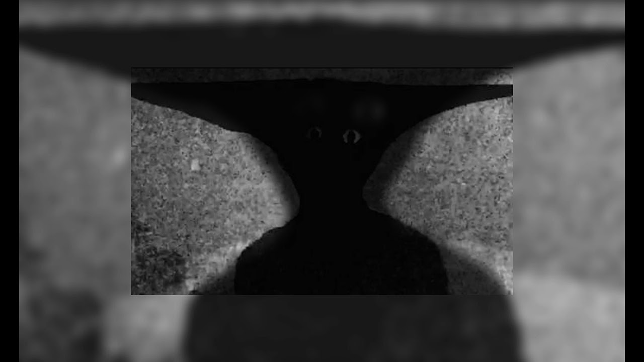 Pisse-Fahrradsattel (Super Slowed)