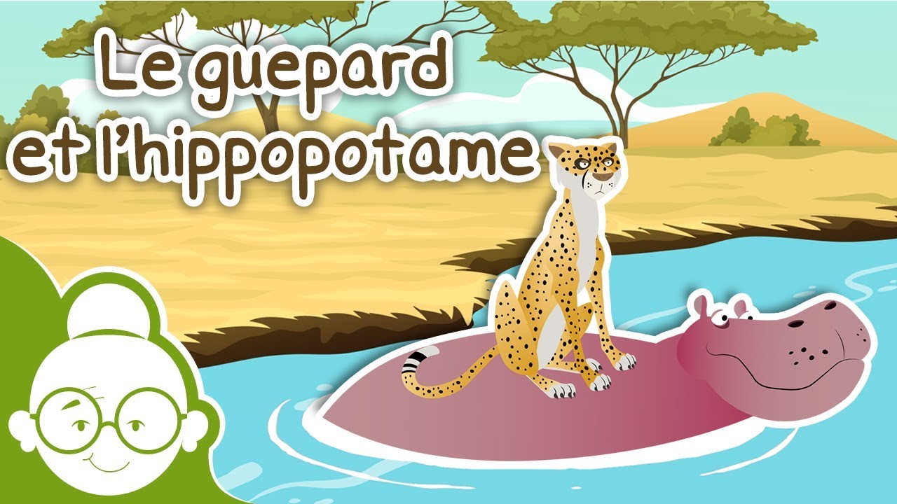 Le guépard et l'hippopotame - Histoires avant de s'endormir - Histoire pour Enfants