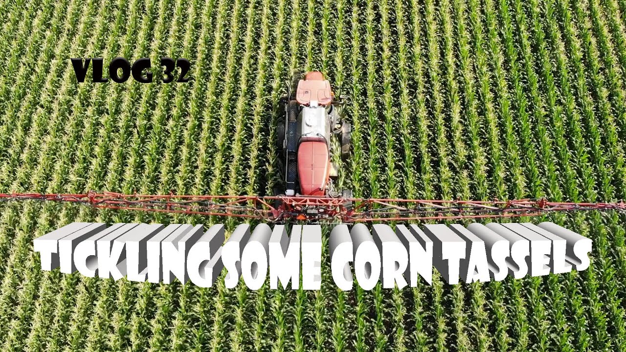 Corn Tassel Fungicide Application | Vlog 32