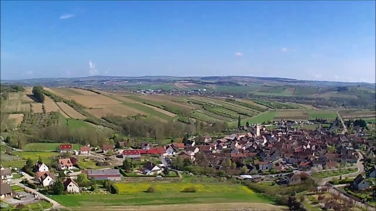 Les Cerisiers de l'Yonne