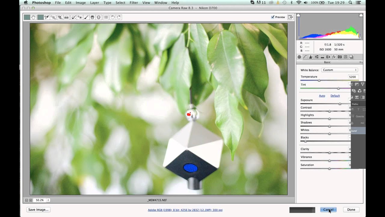 Webinar: Improving your Wedding Stills and Video Capture - with Mark Lawrence