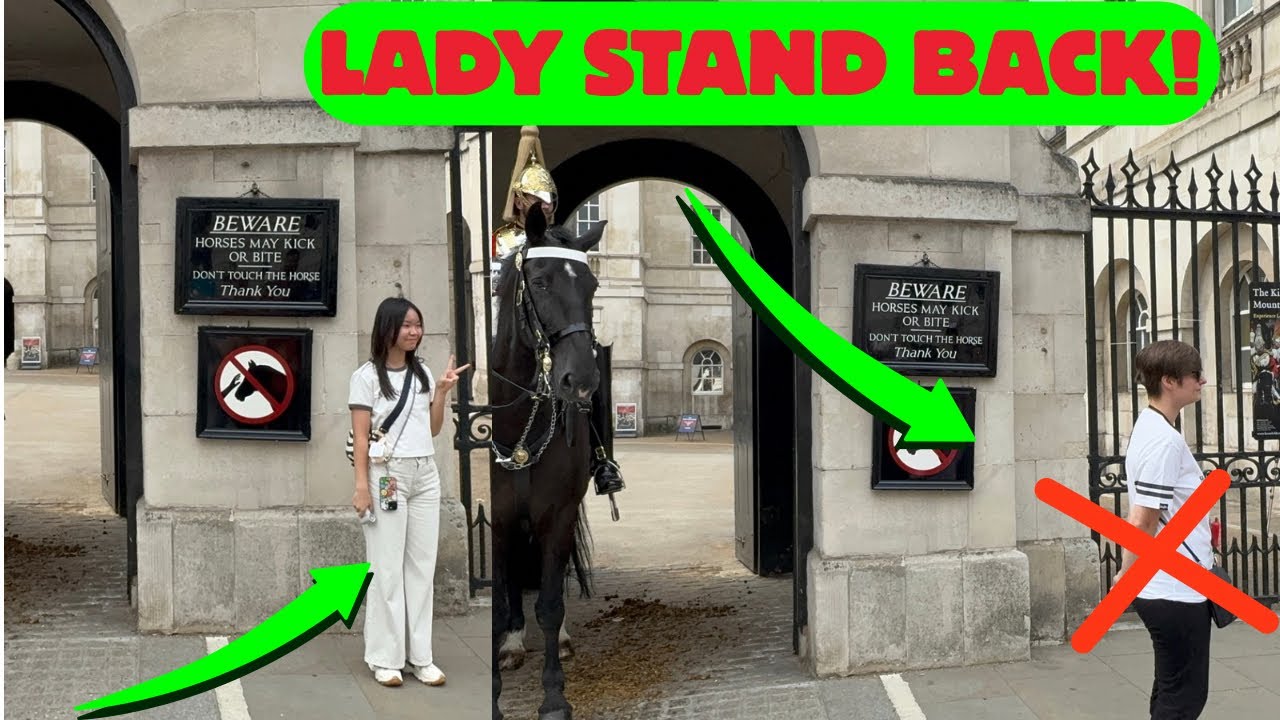 ❌ MORONS Break the Rules – Guard Pulls Horse Inside! 🚫🐴