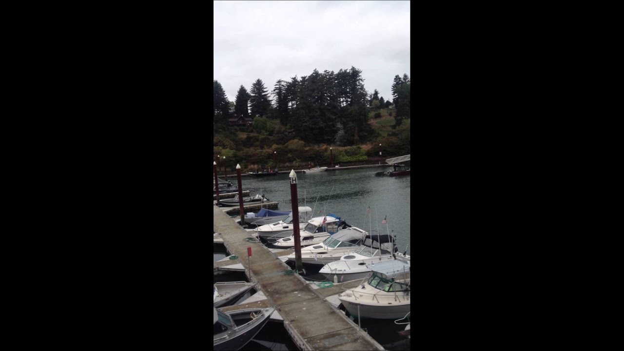 Dredge at Sport Transient Dock