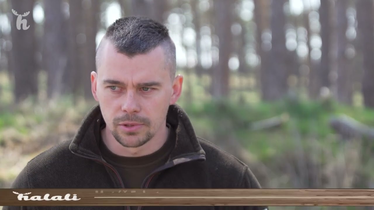 Aktivity VLM SR š.p.  - Jarné zalesňovanie a vylepšovanie kultúr